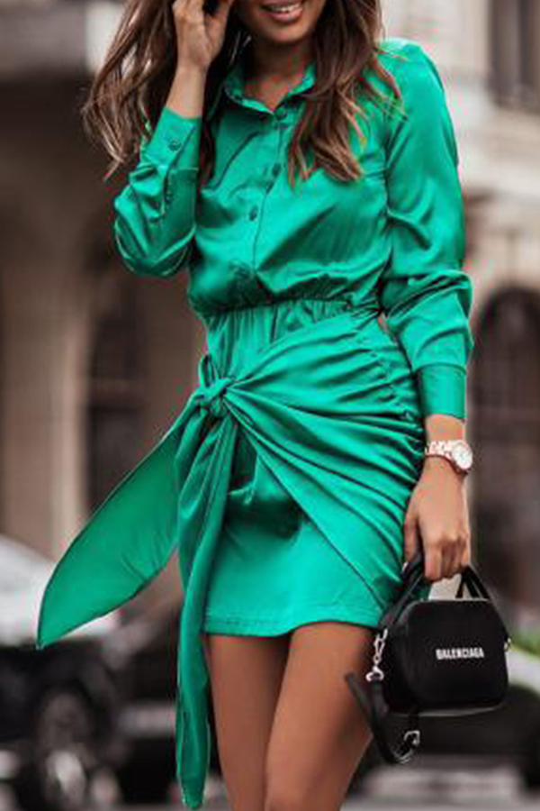 Fashion Elegant Print Buckle Strap Design Turndown Collar Waist Dresses£¨4 colors£©