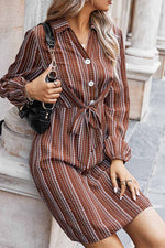 Florcoo Loose Classic Striped Shirt Mini Dress
