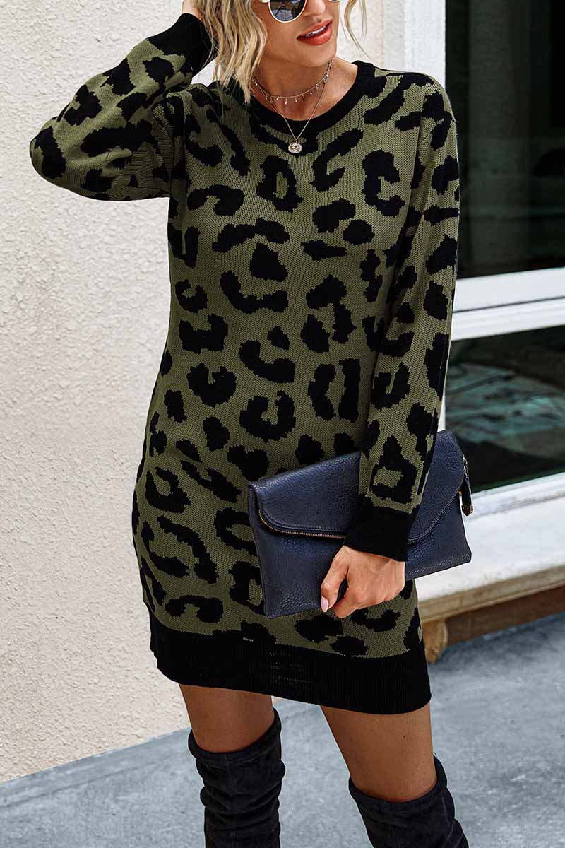 Florcoo Leopard Print Oneck Mini Dress