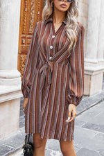 Florcoo Loose Classic Striped Shirt Mini Dress