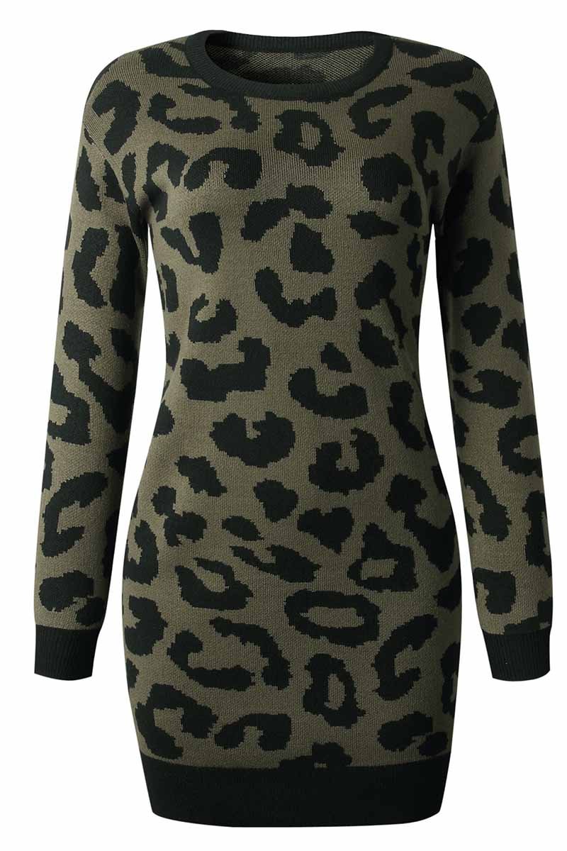 Florcoo Leopard Print Oneck Mini Dress