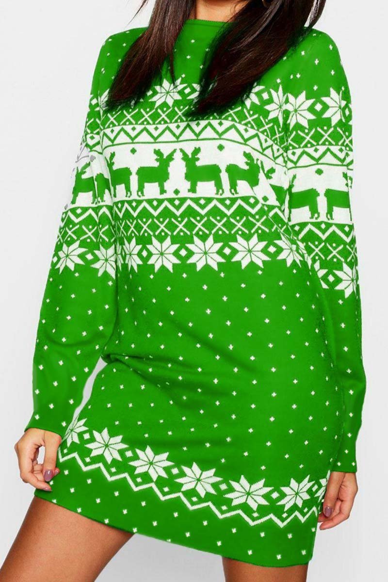 Christmas Winter Dress