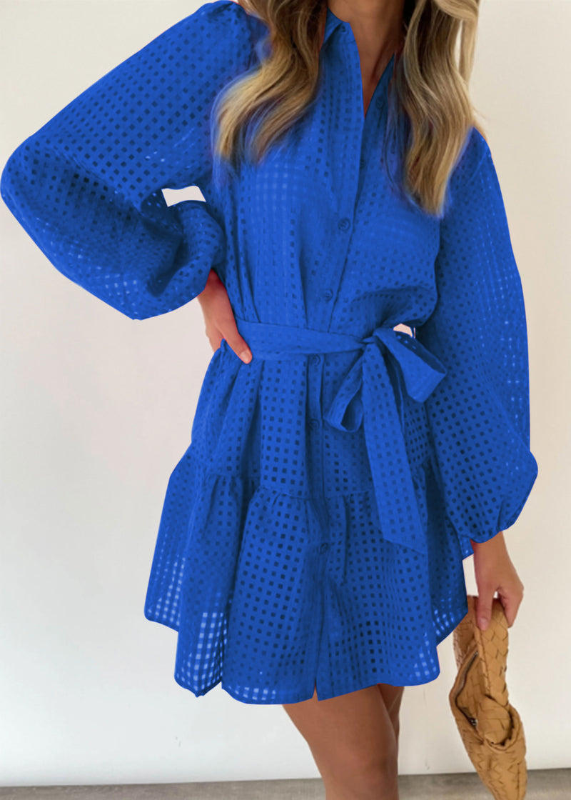 Turn Down Collar Button Long Wide Sleeve Mini Dress