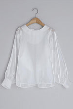 Gleamingly Organza Puff Sleeve Blouse