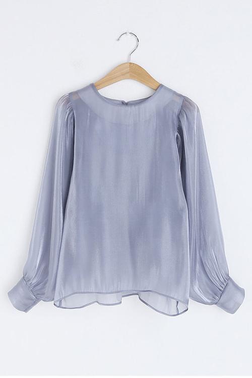 Gleamingly Organza Puff Sleeve Blouse