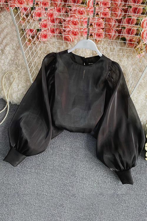 Gleamingly Organza Puff Sleeve Blouse