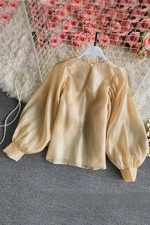 Gleamingly Organza Puff Sleeve Blouse