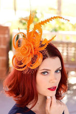 Feather Mesh Fascinator