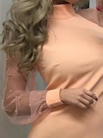 Mesh Pearl Long Sleeve Slim Mini Dress