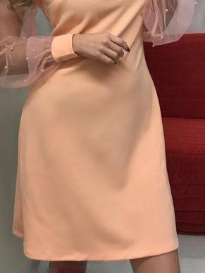 Mesh Pearl Long Sleeve Slim Mini Dress